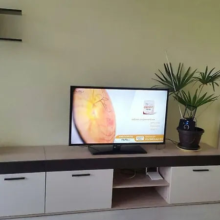 Fresh New In The Heart Of Apartment